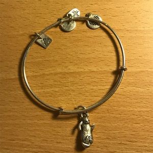 Alex and Ani: otter